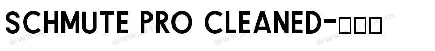 schmute pro cleaned字体转换 schmute pro cleaned字体转换